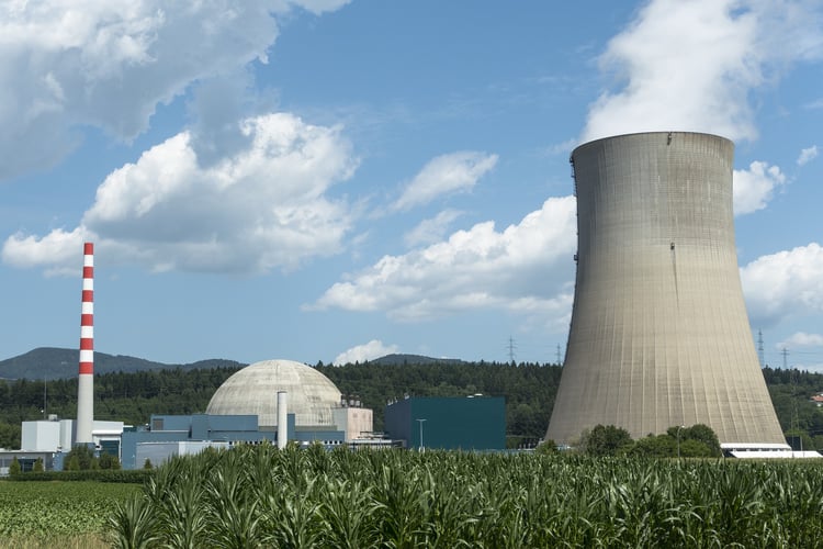 Nuclear Plant Asset Management